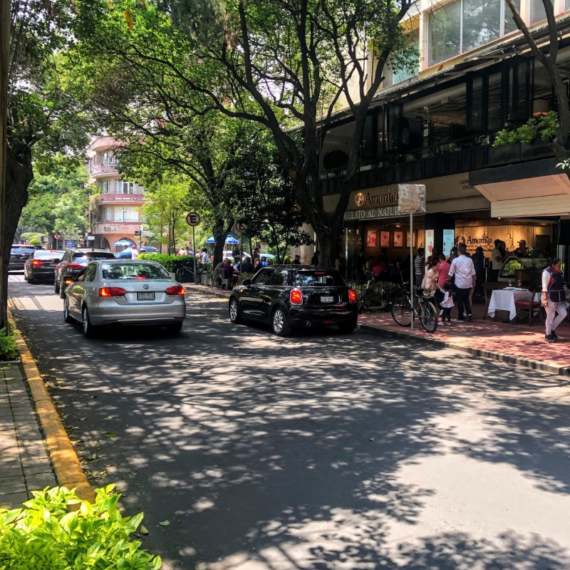 Polenco Neighborhood - Mexico City